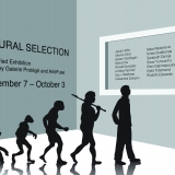 Natural Selection
