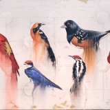 Wildlife Show 2015