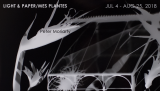 LIGHT & PAPER/MES PLANTES