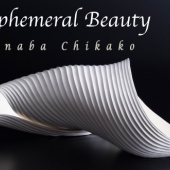 Ephemeral Beauty