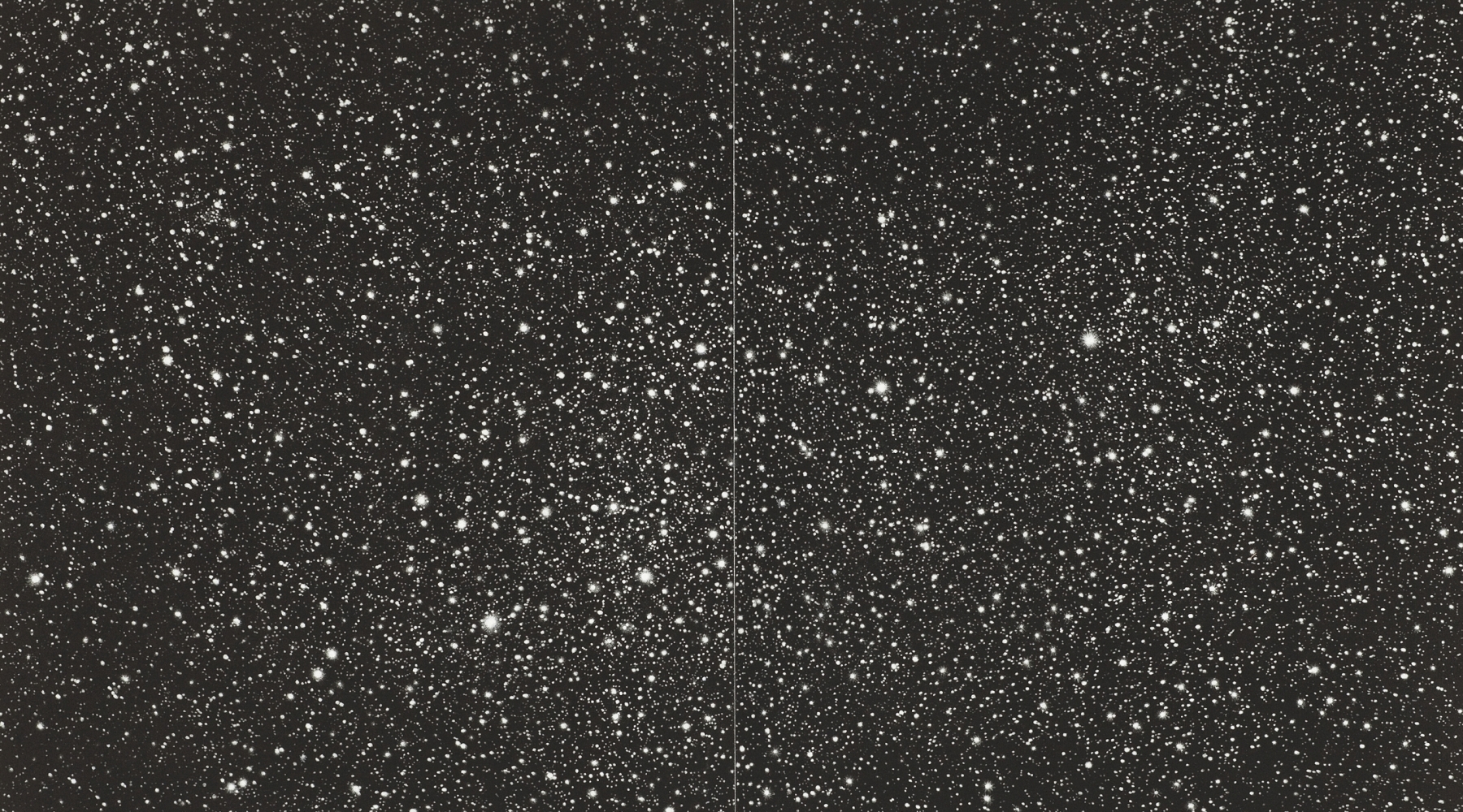VIJA CELMINS, Starfield, 2010