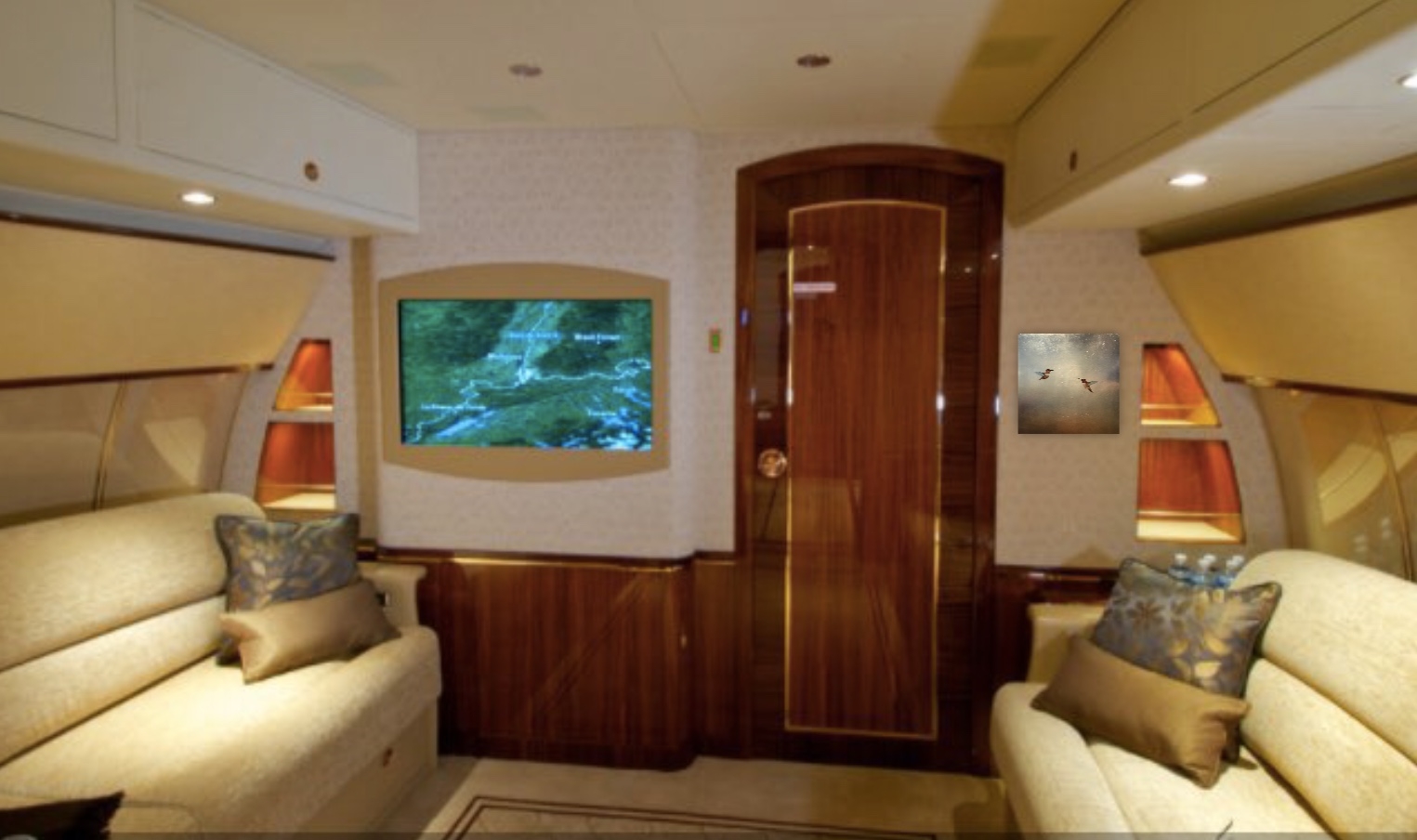 Private Aircraft Art Consultation