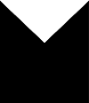 M Daily