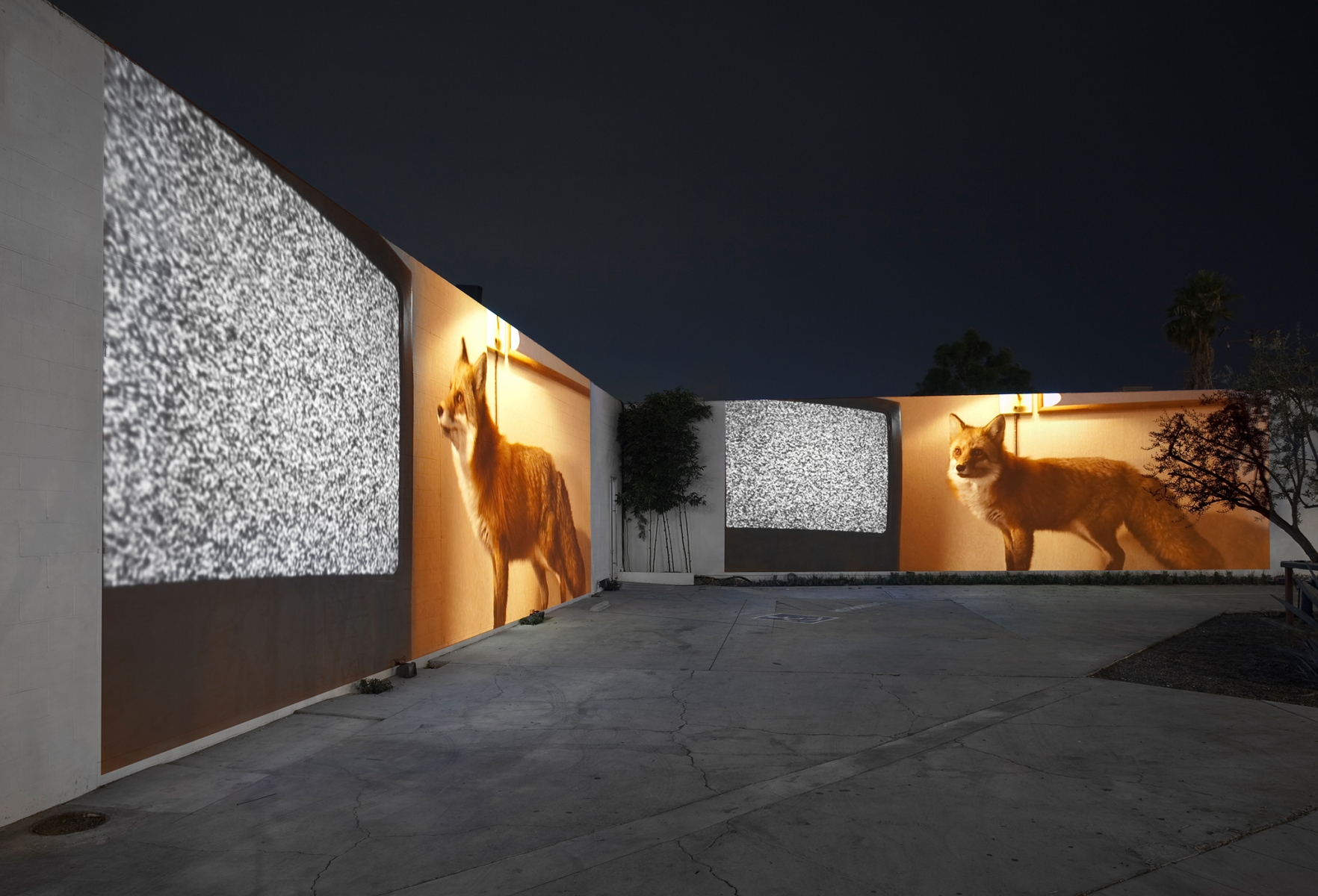 Doug Aitken