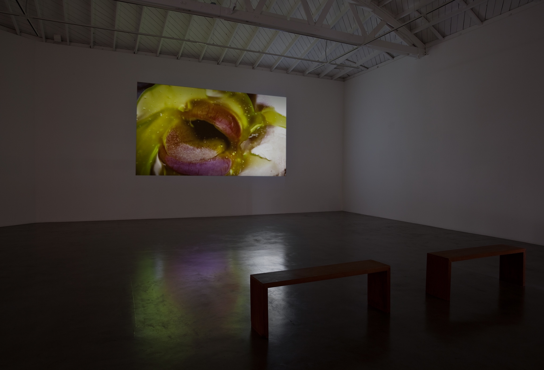 Marilyn Minter