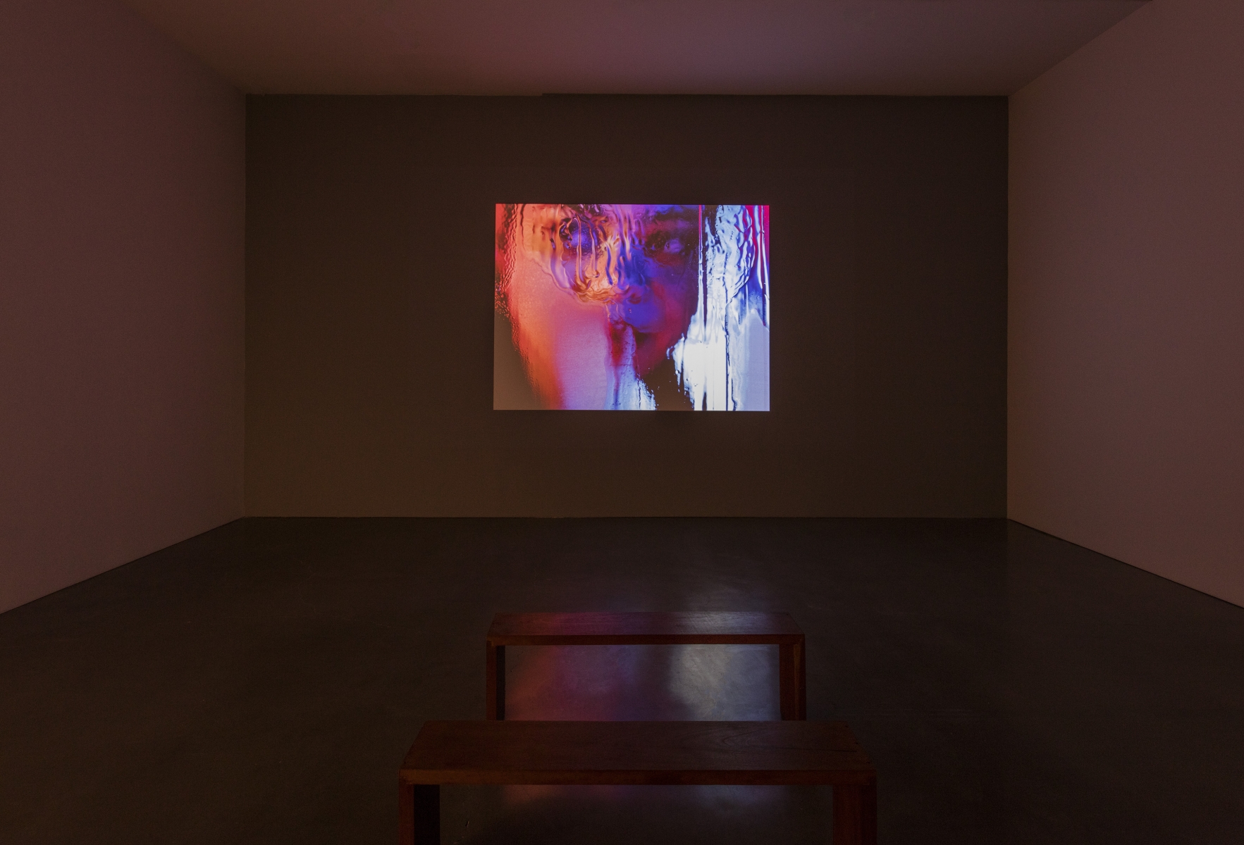 Marilyn Minter