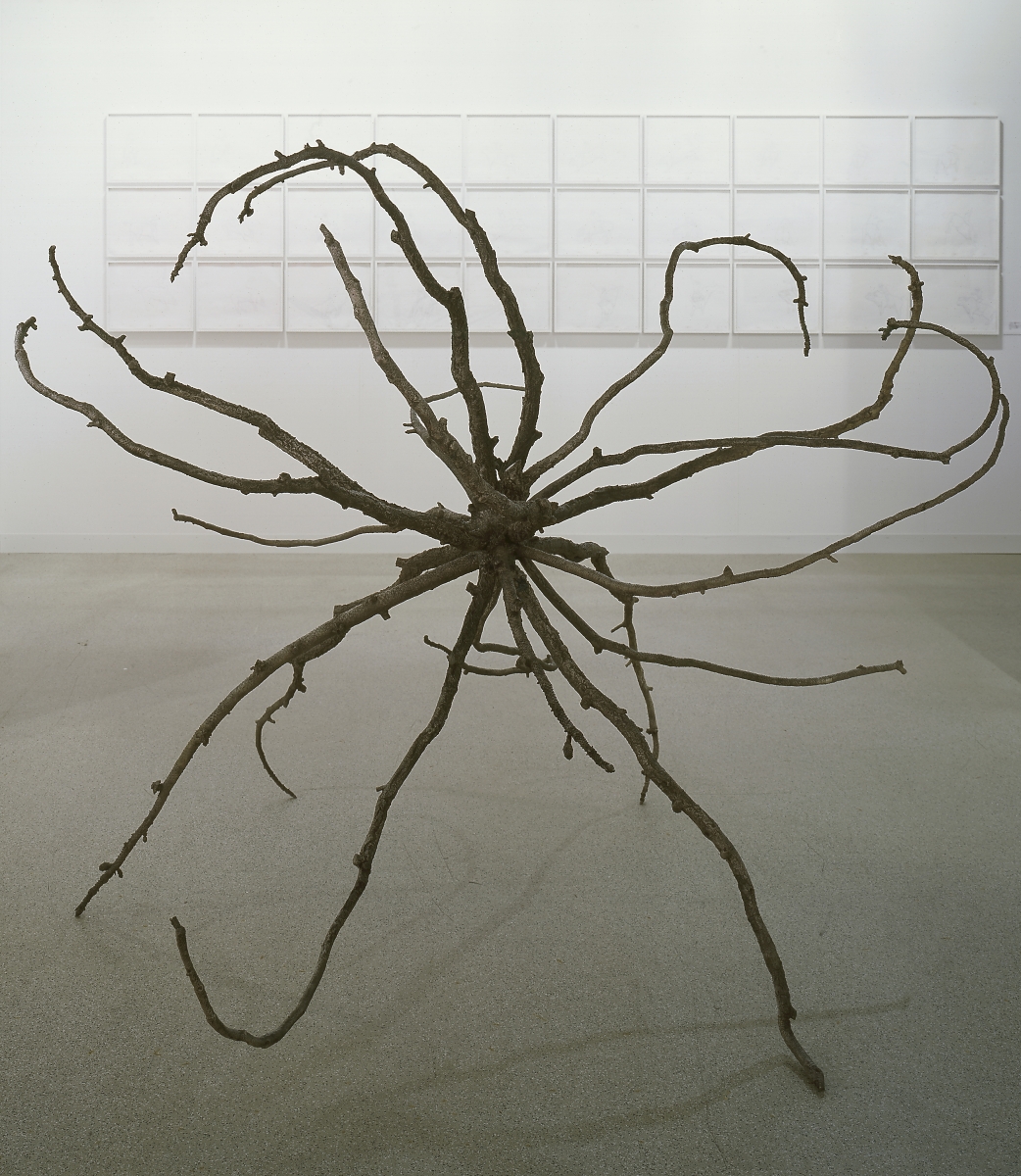 Liz Larner, Ghost Story