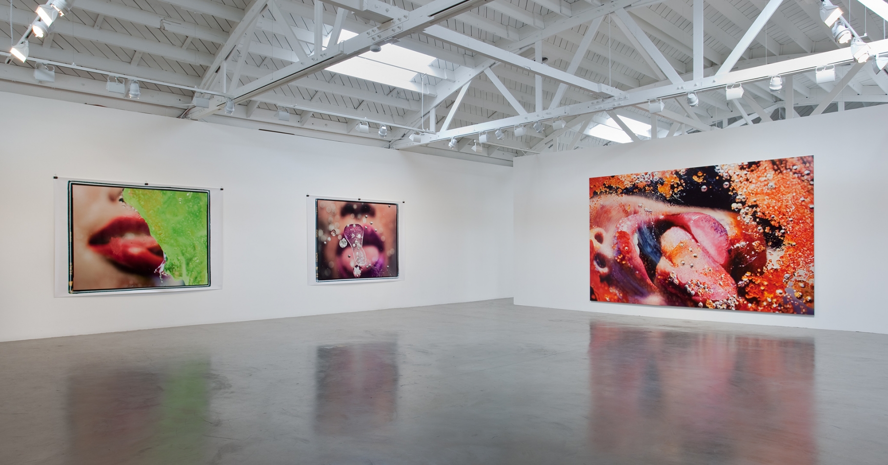 Marilyn Minter