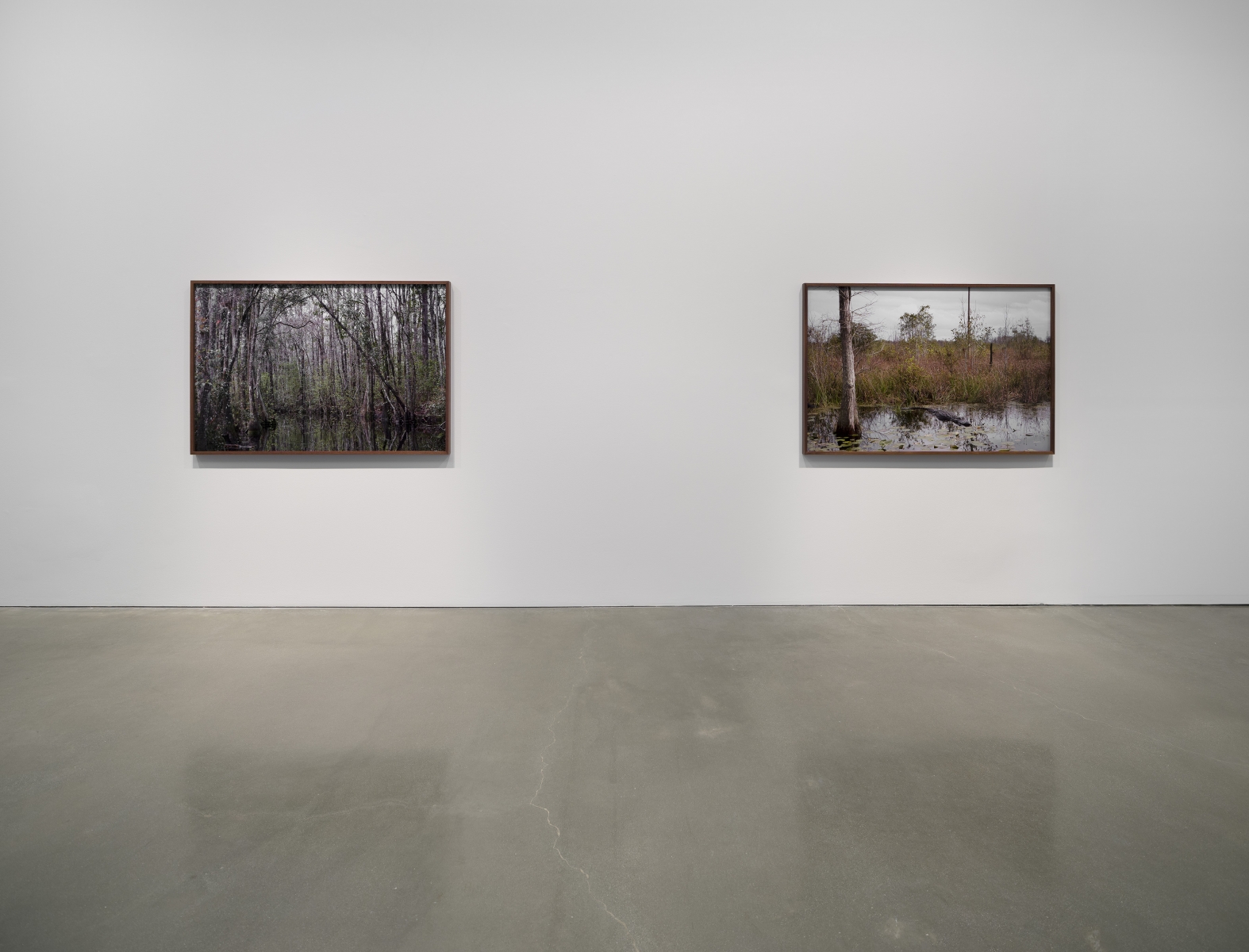 Catherine Opie - Rhetorical Landscapes