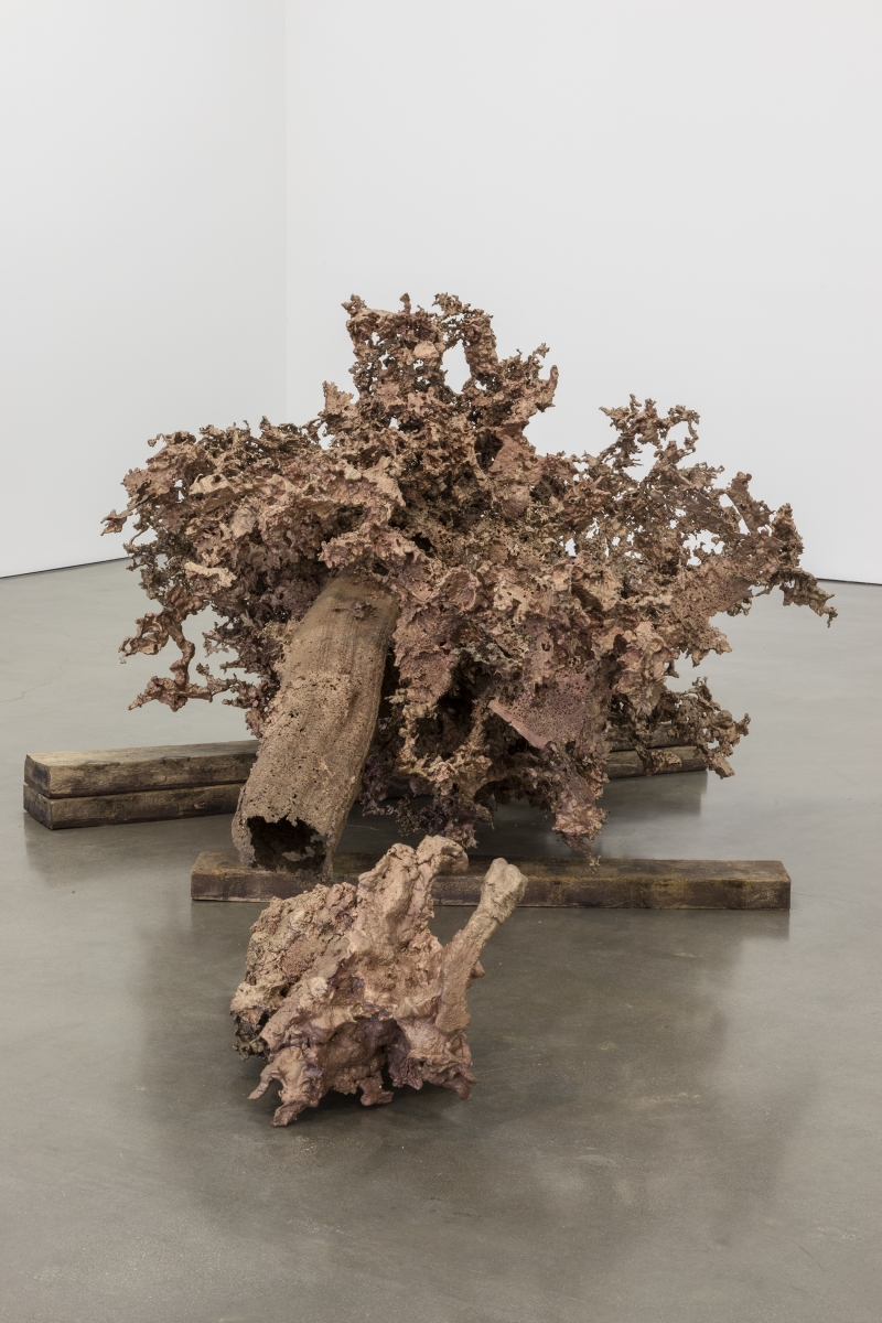 Matthew Barney - Water Castings