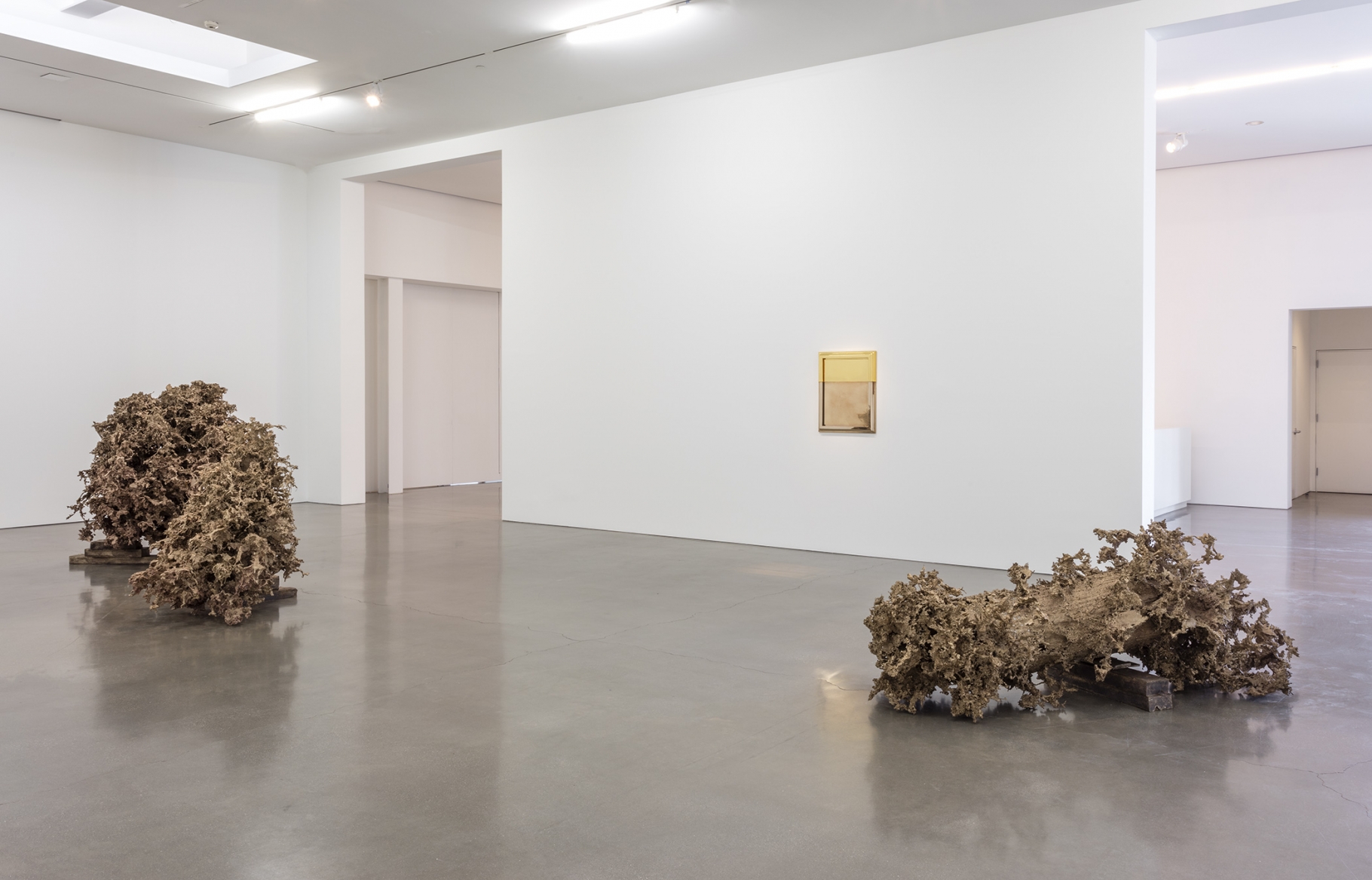 Matthew Barney - Water Castings