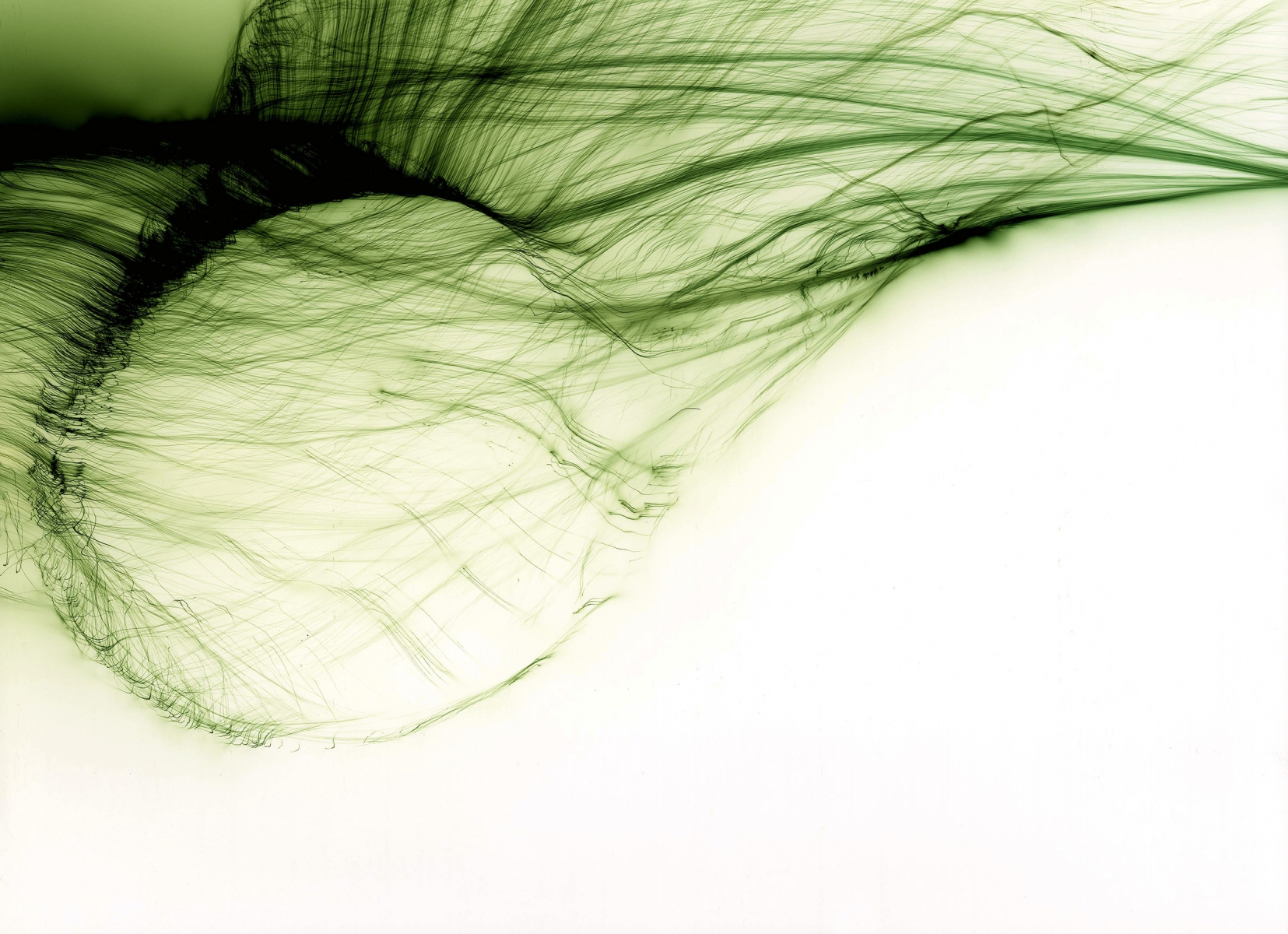 Wolfgang Tillmans