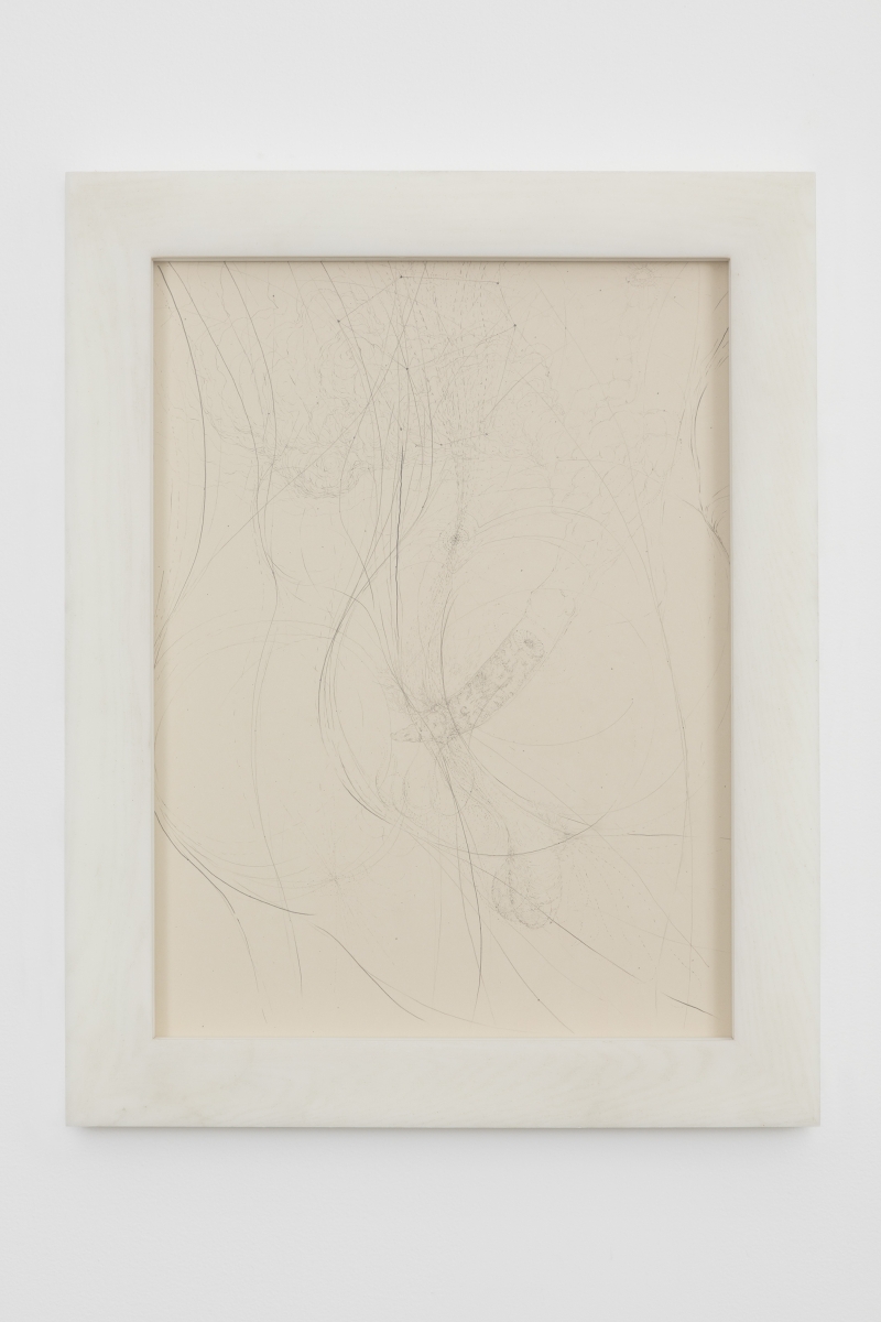 Matthew Barney - White Dwarf