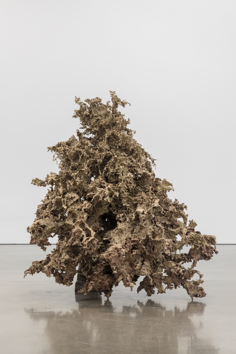 Matthew Barney - Water Castings