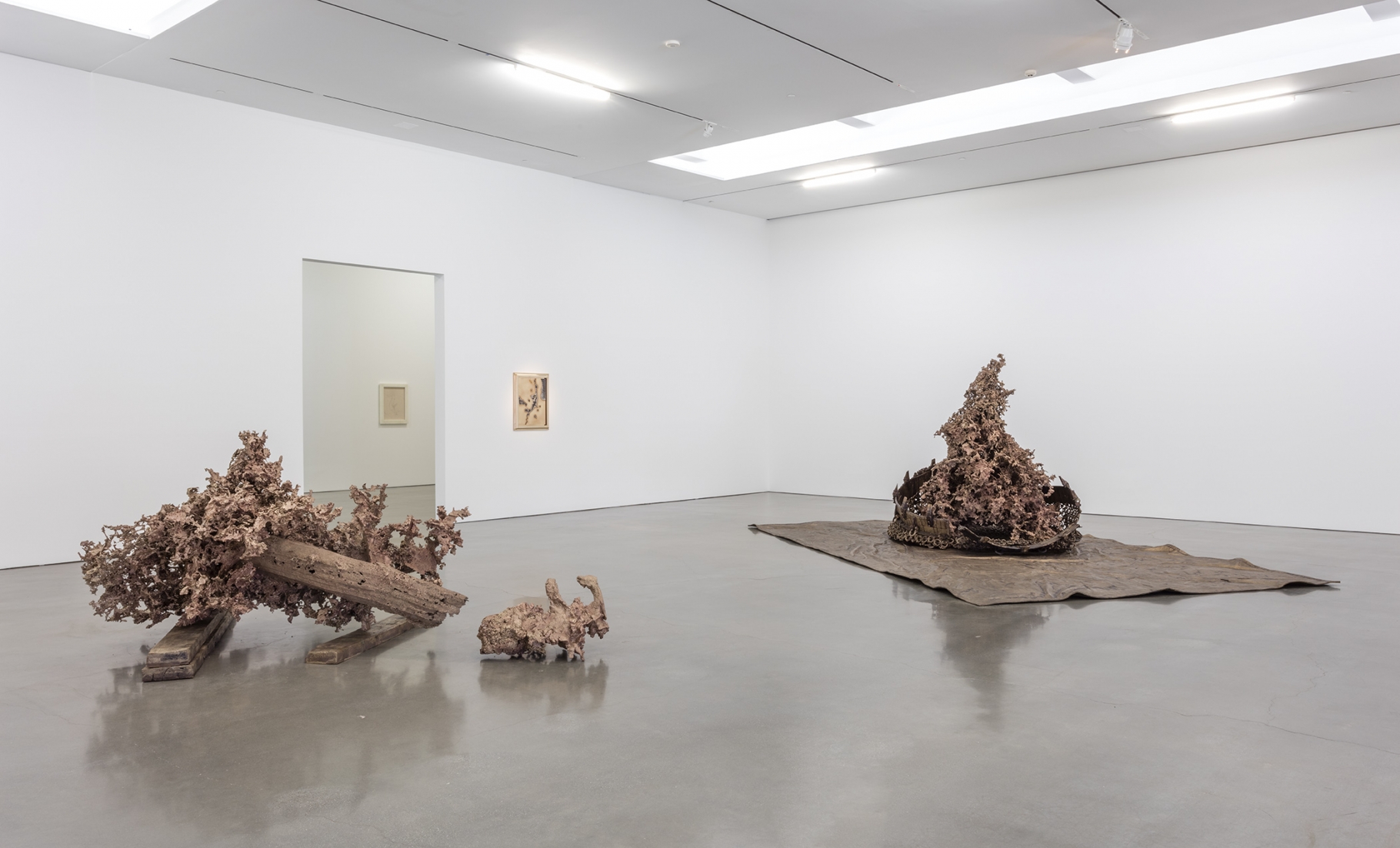 Matthew Barney - Water Castings
