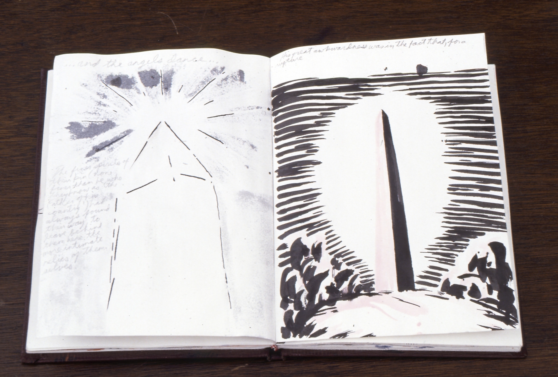 Raymond Pettibon