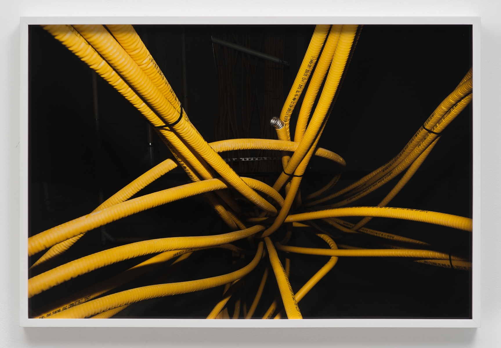 Lovely Dark - David Soffa