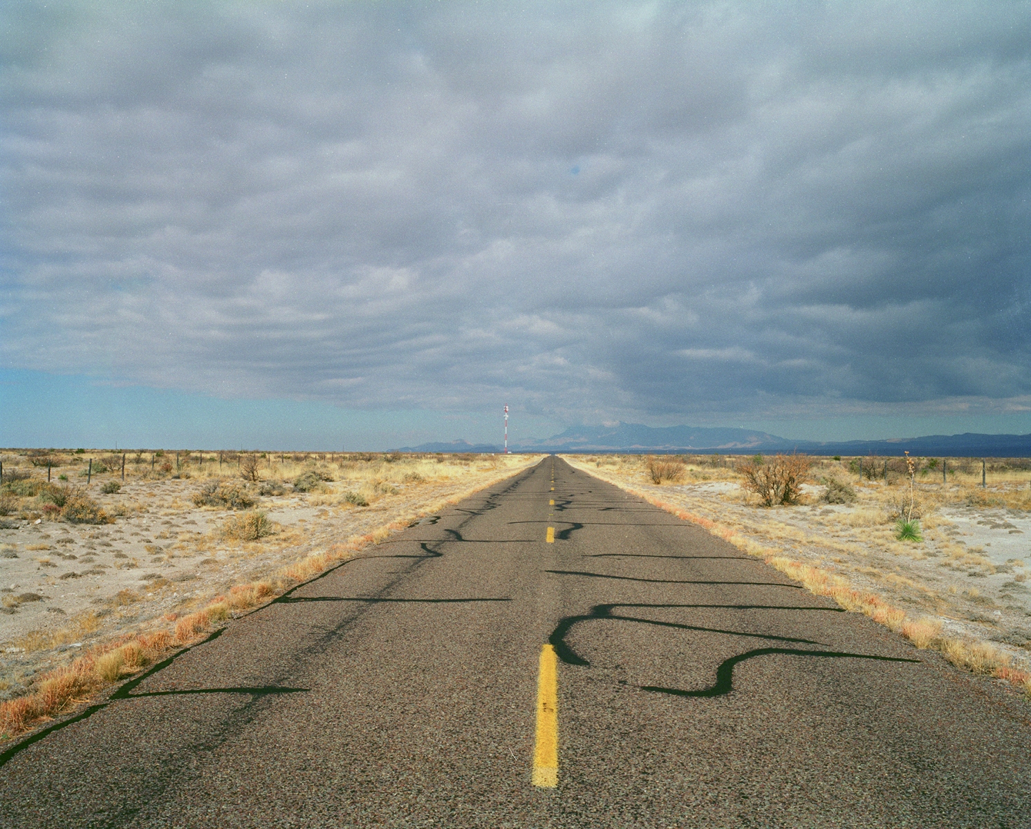 Catherine Opie, Untitled #7 (1999)