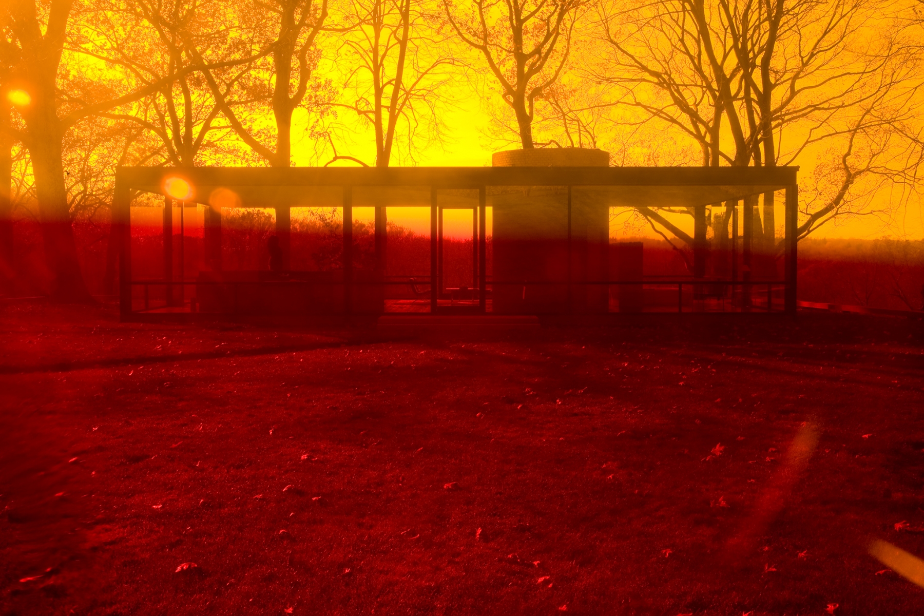 James Welling