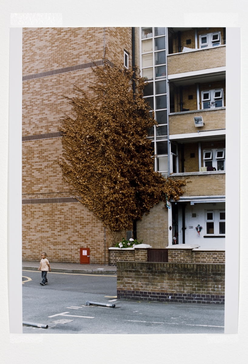 Wolfgang Tillmans