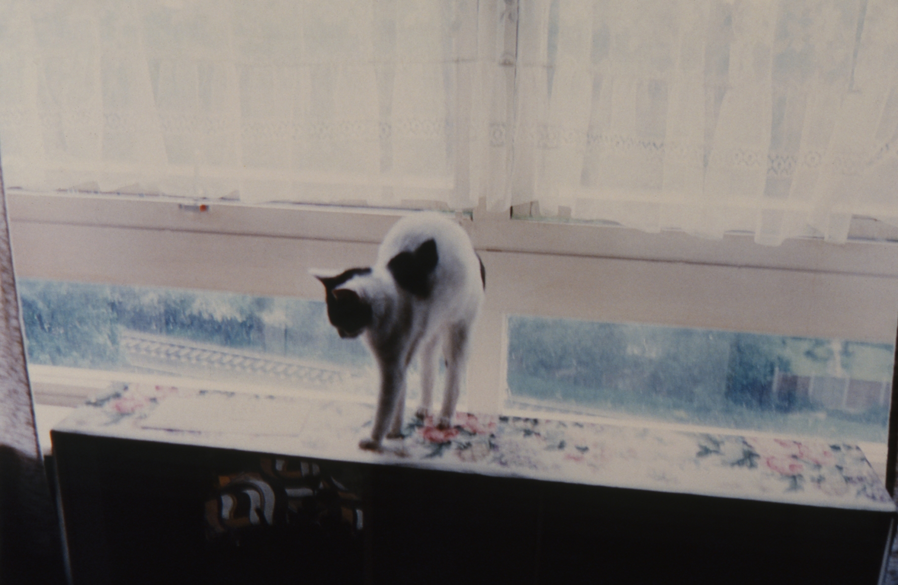 Richard Billingham
