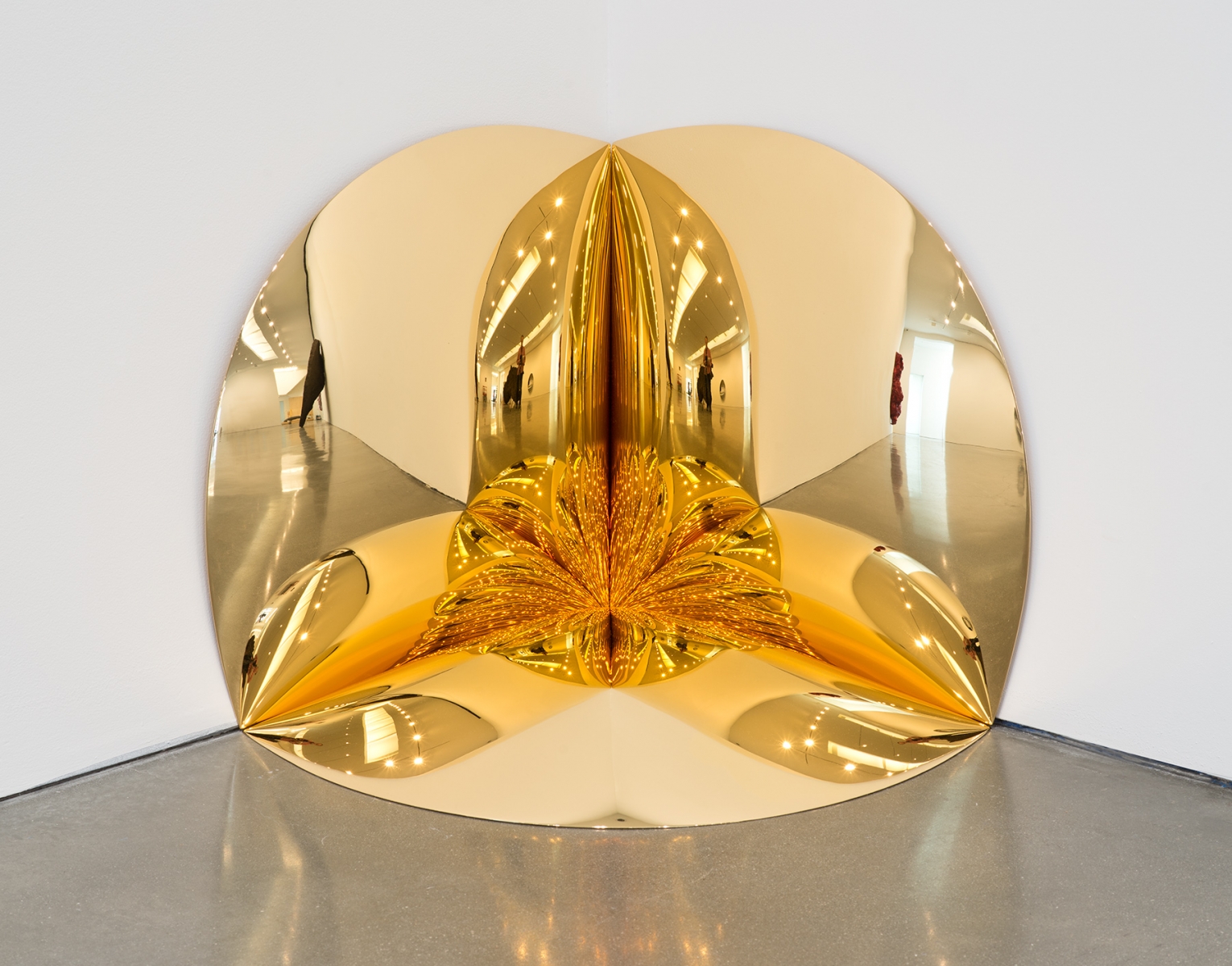 Anish Kapoor