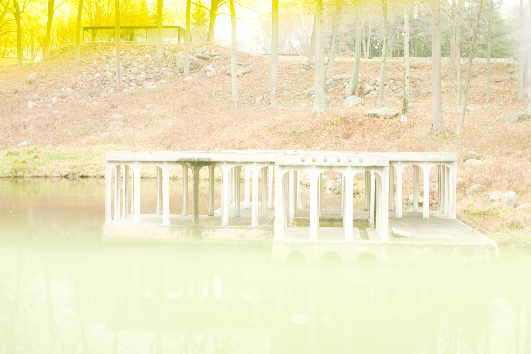 James Welling