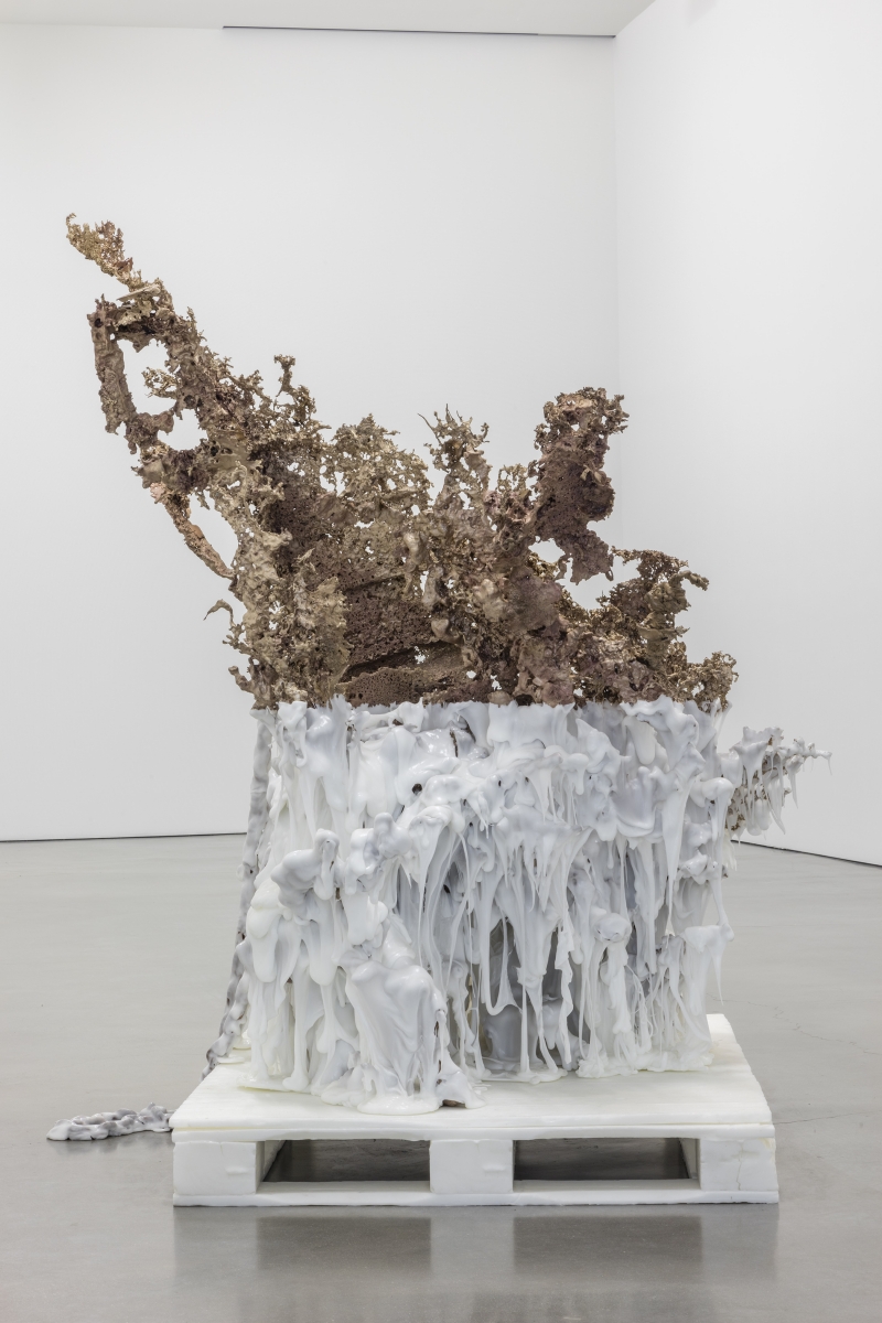 Matthew Barney - Water Castings