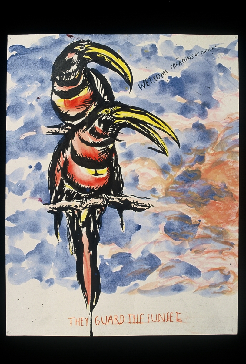 Raymond Pettibon
