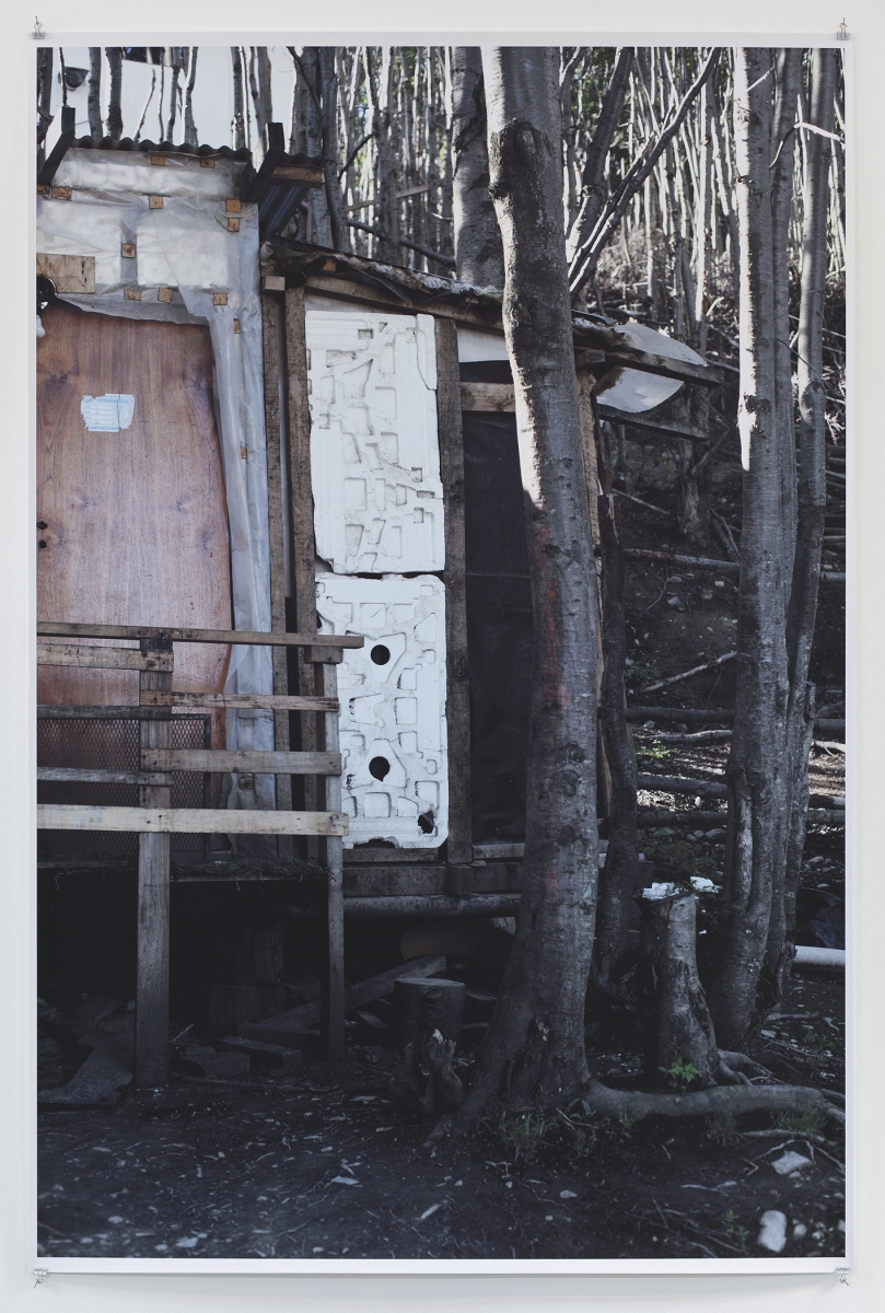 Wolfgang Tillmans