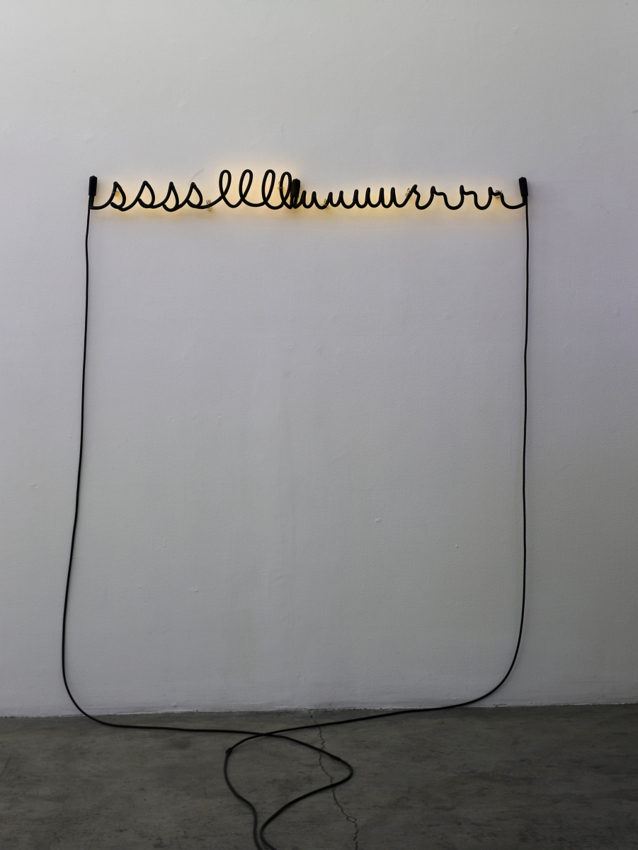 Glenn Ligon