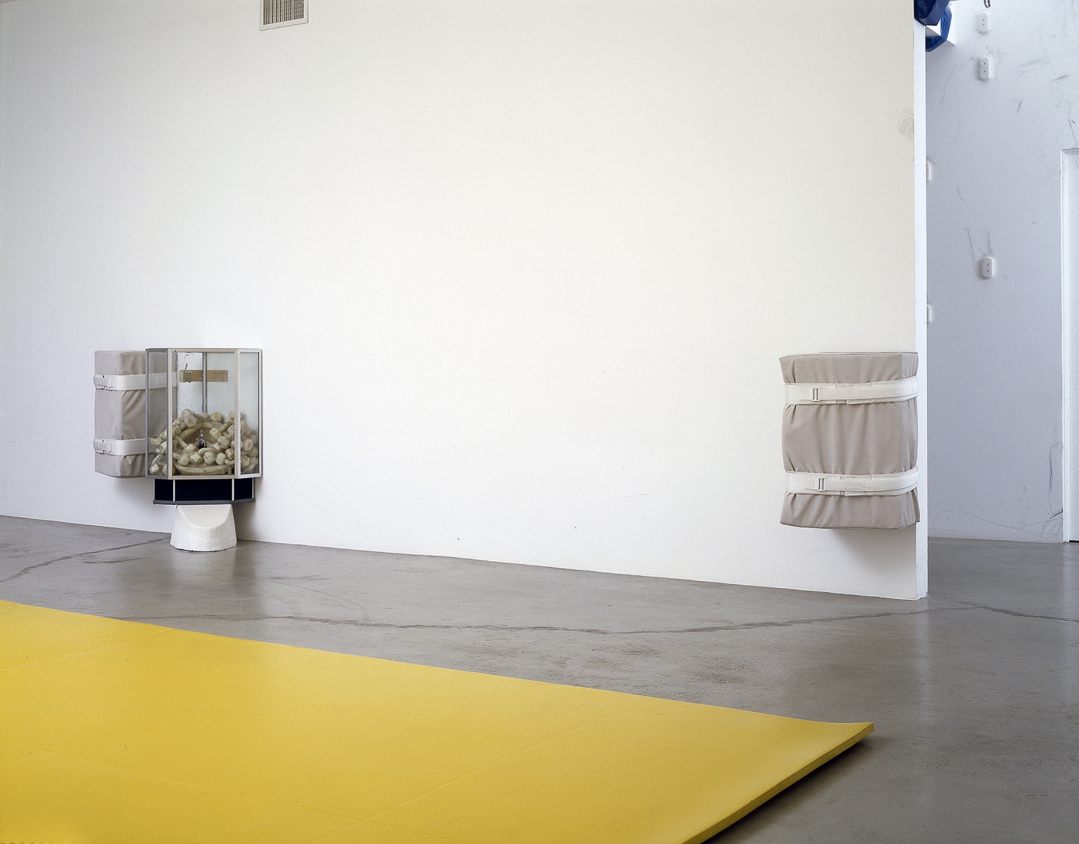 Matthew Barney