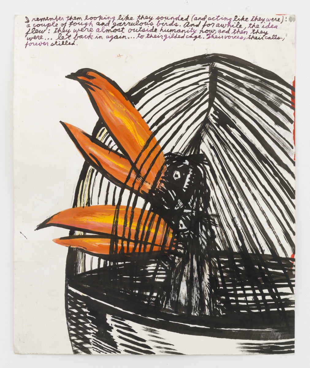 Raymond Pettibon