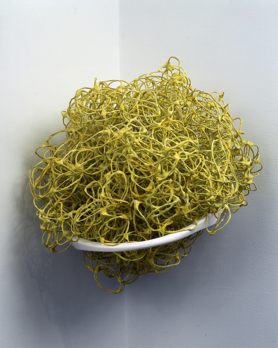 Liz Larner, Devex Yellow