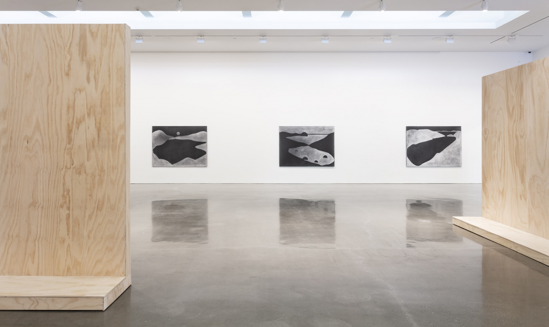 Silke Otto-Knapp - Land and Sea