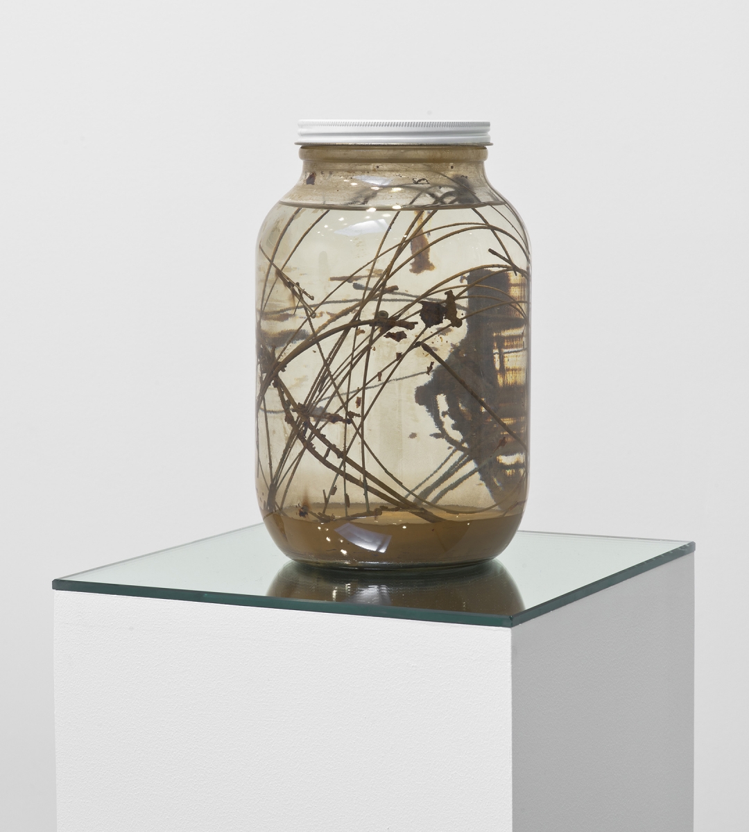 Liz Larner