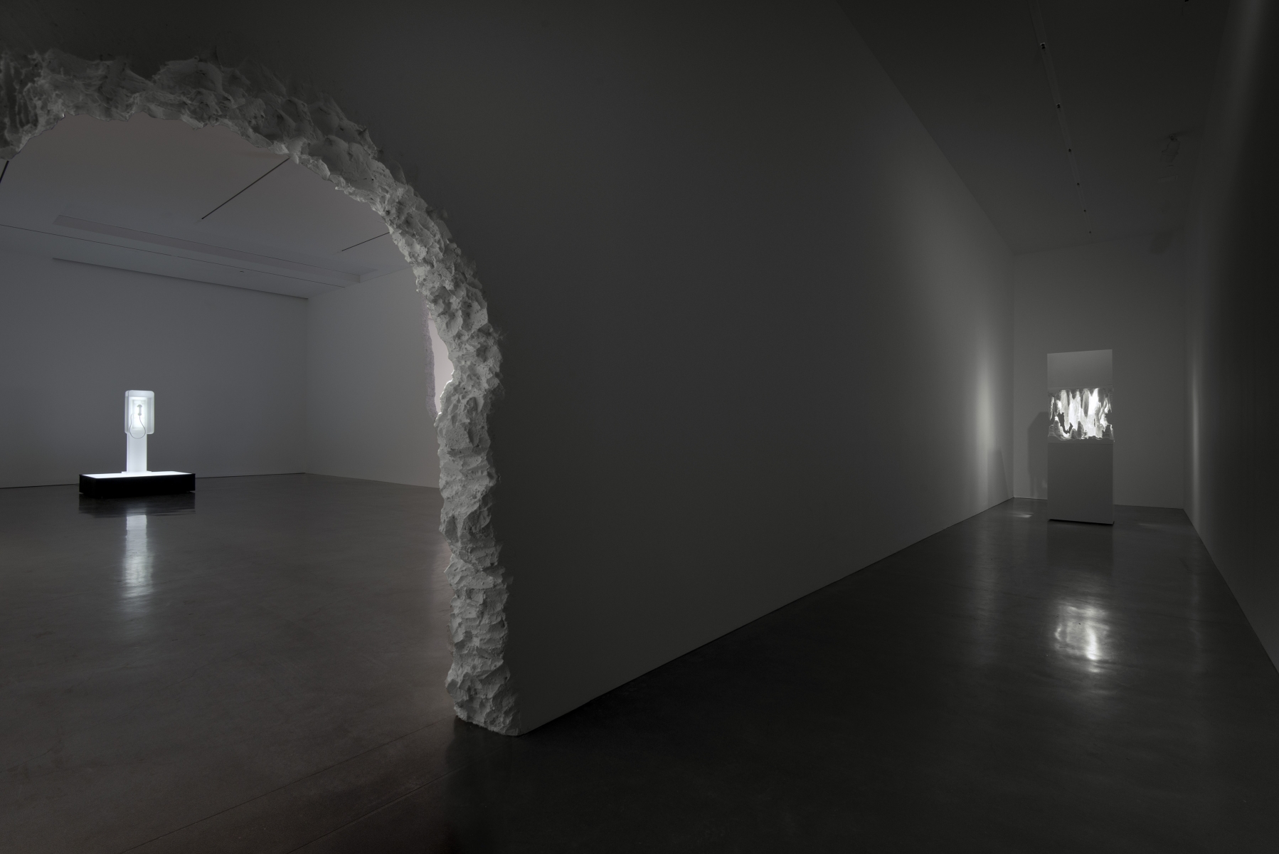 Doug Aitken