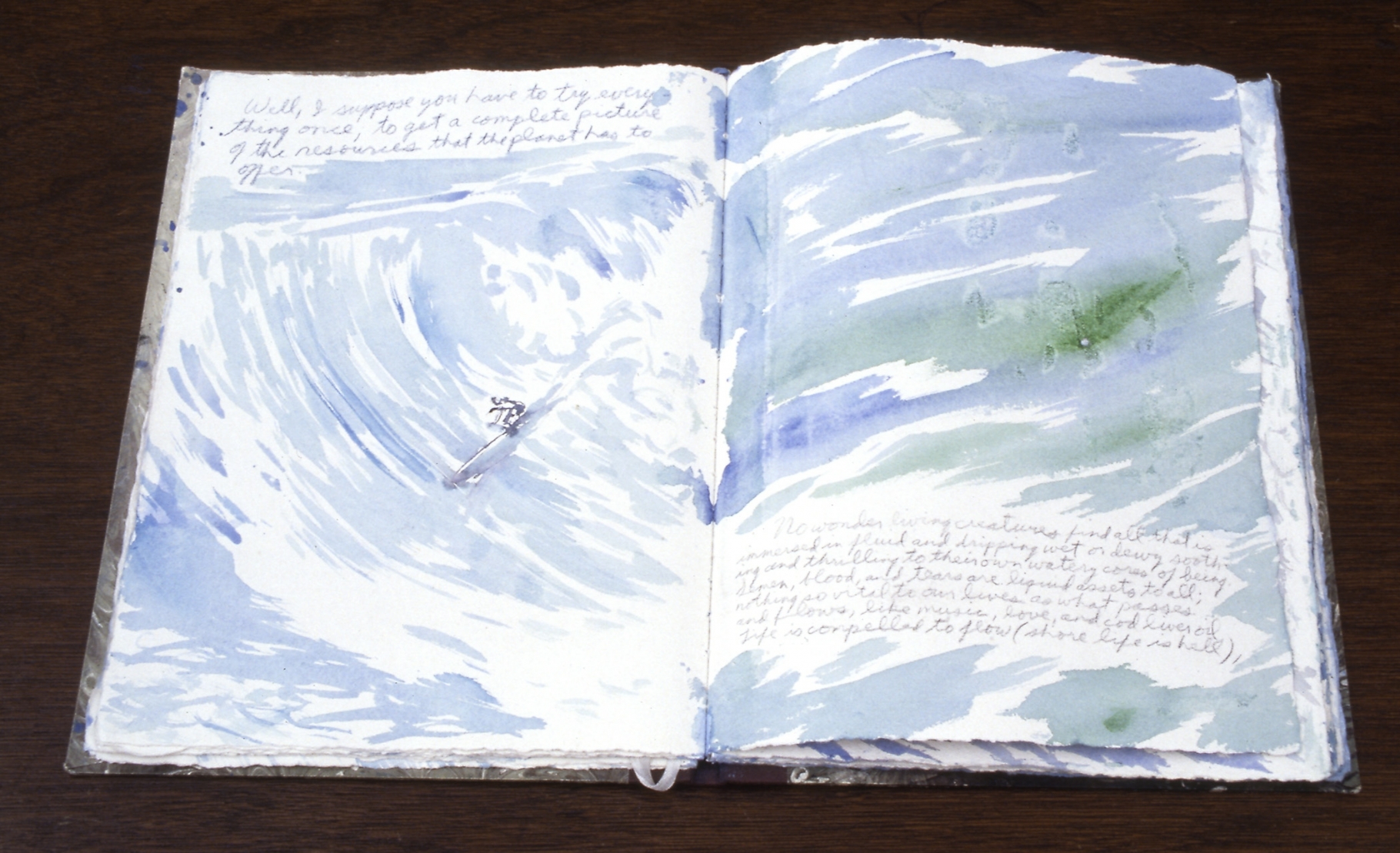 Raymond Pettibon