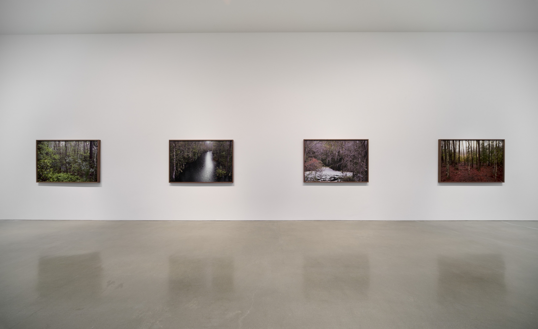 Catherine Opie - Rhetorical Landscapes