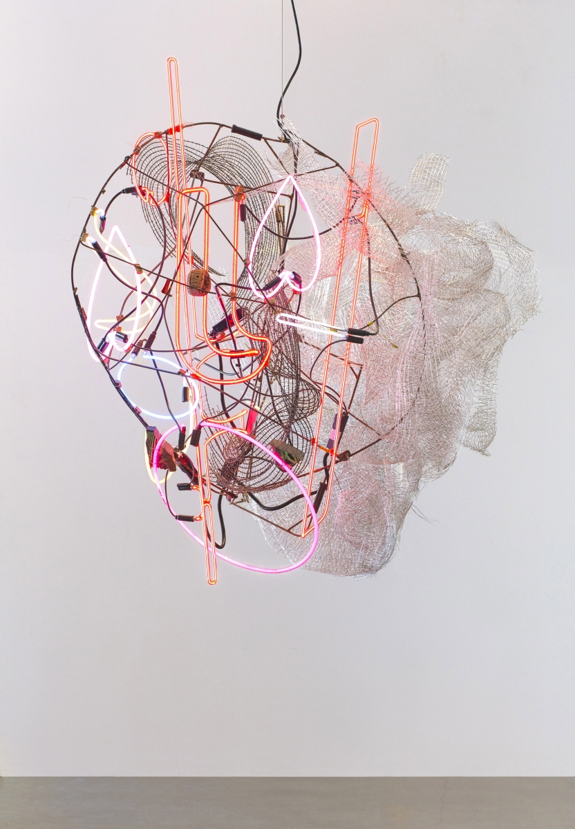 Elliott Hundley - Mask