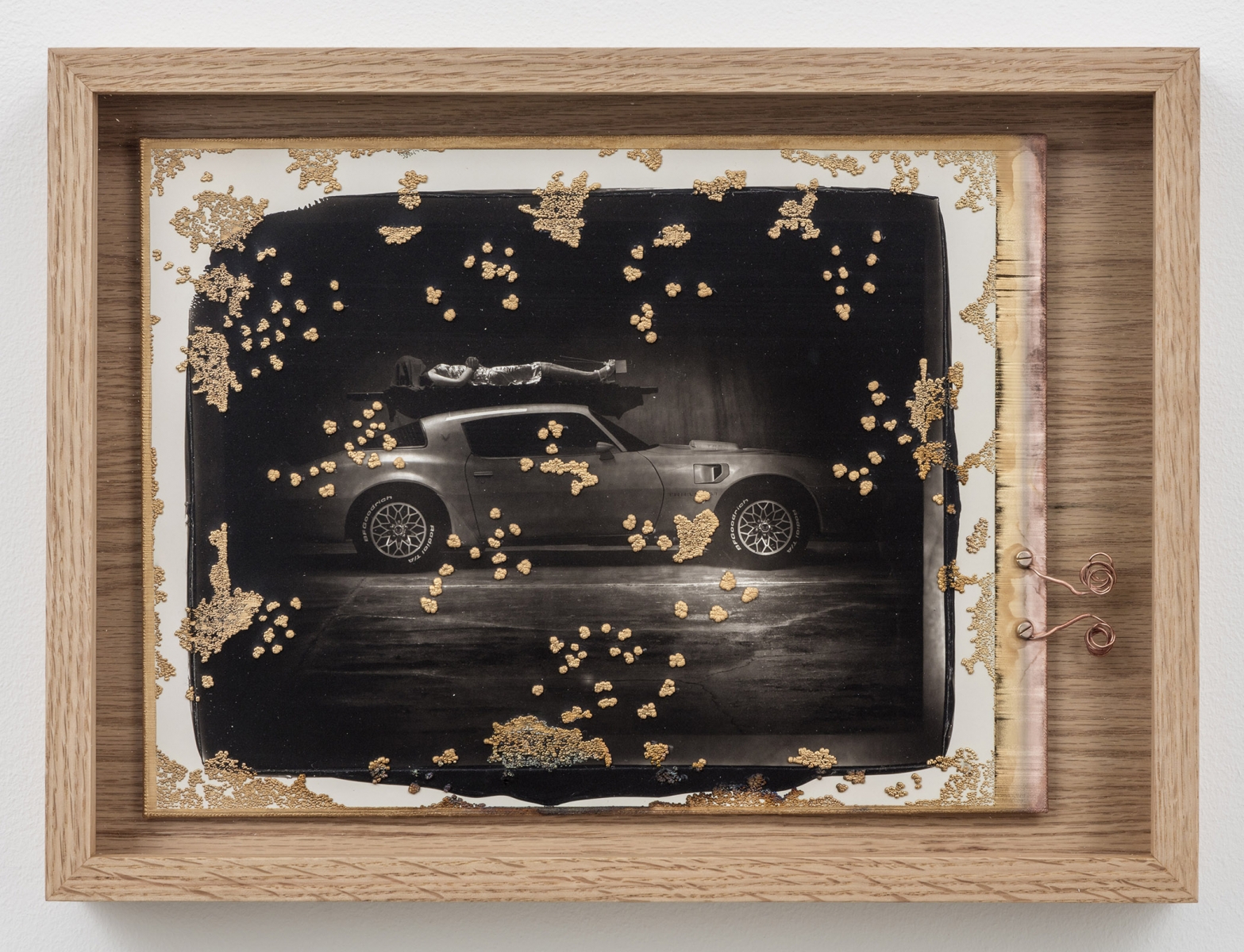 Matthew Barney - In vain