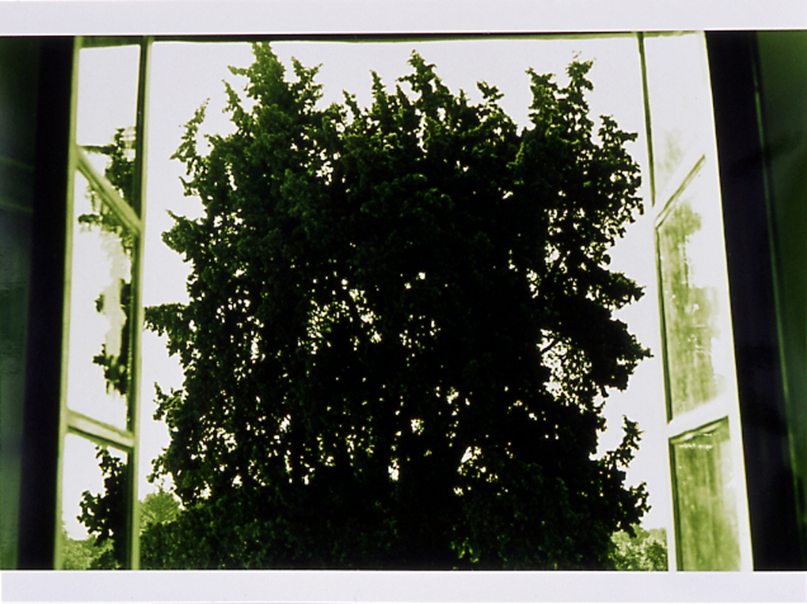 Wolfgang Tillmans