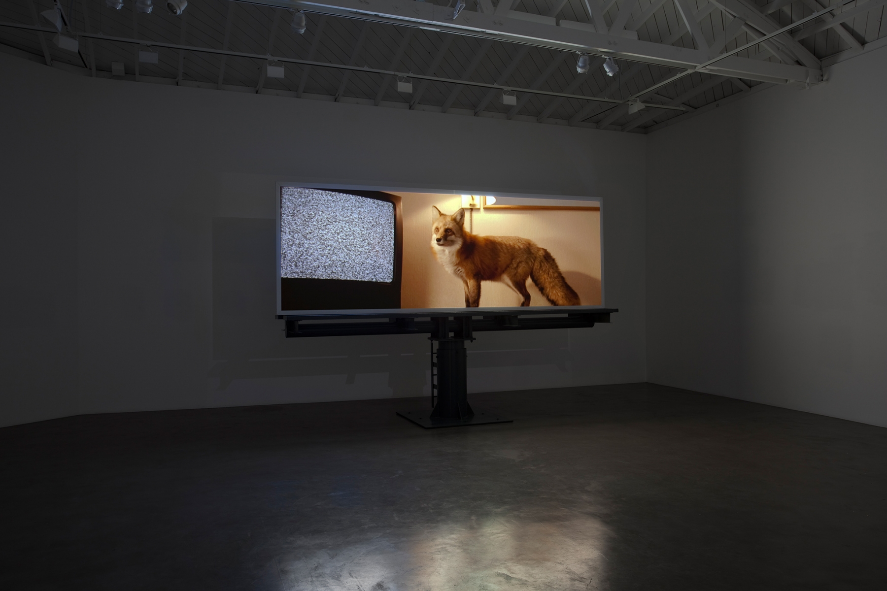 Doug Aitken