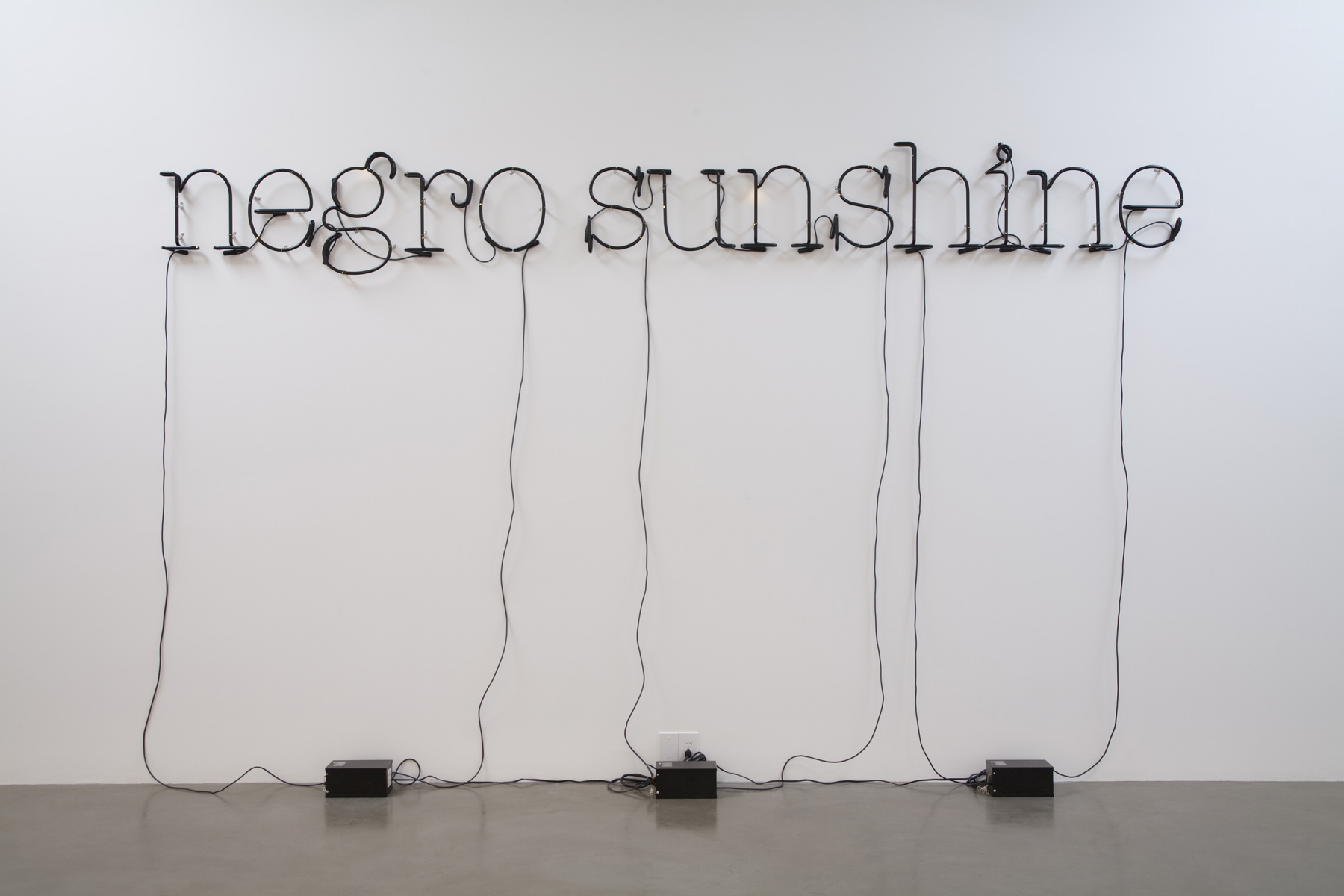 Glenn Ligon