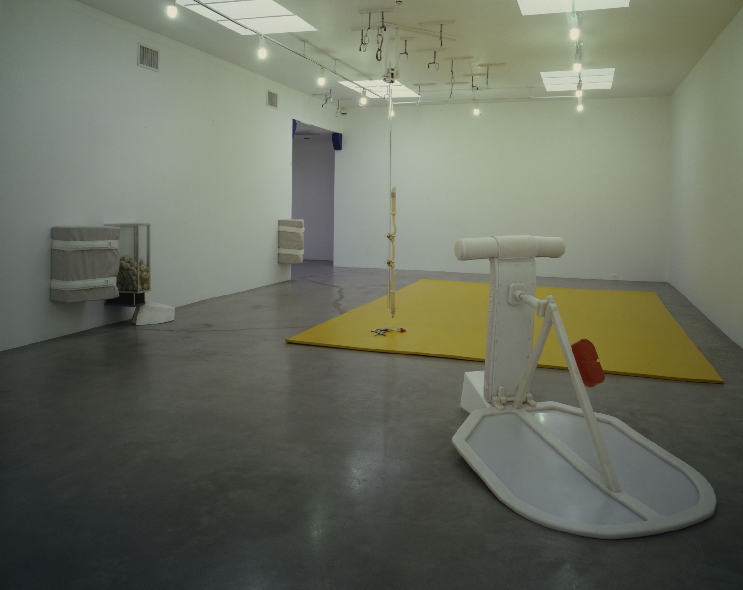 Matthew Barney