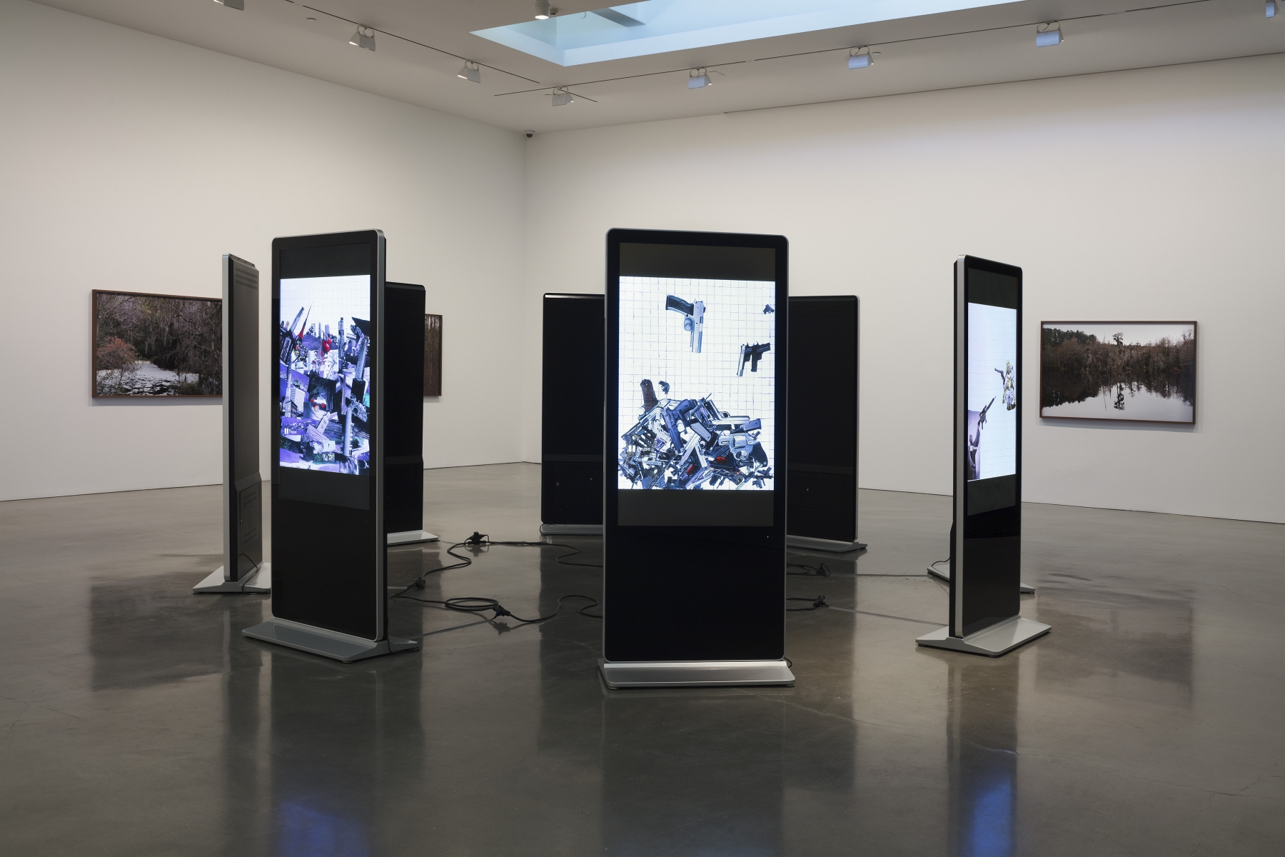 Catherine Opie - Rhetorical Landscapes