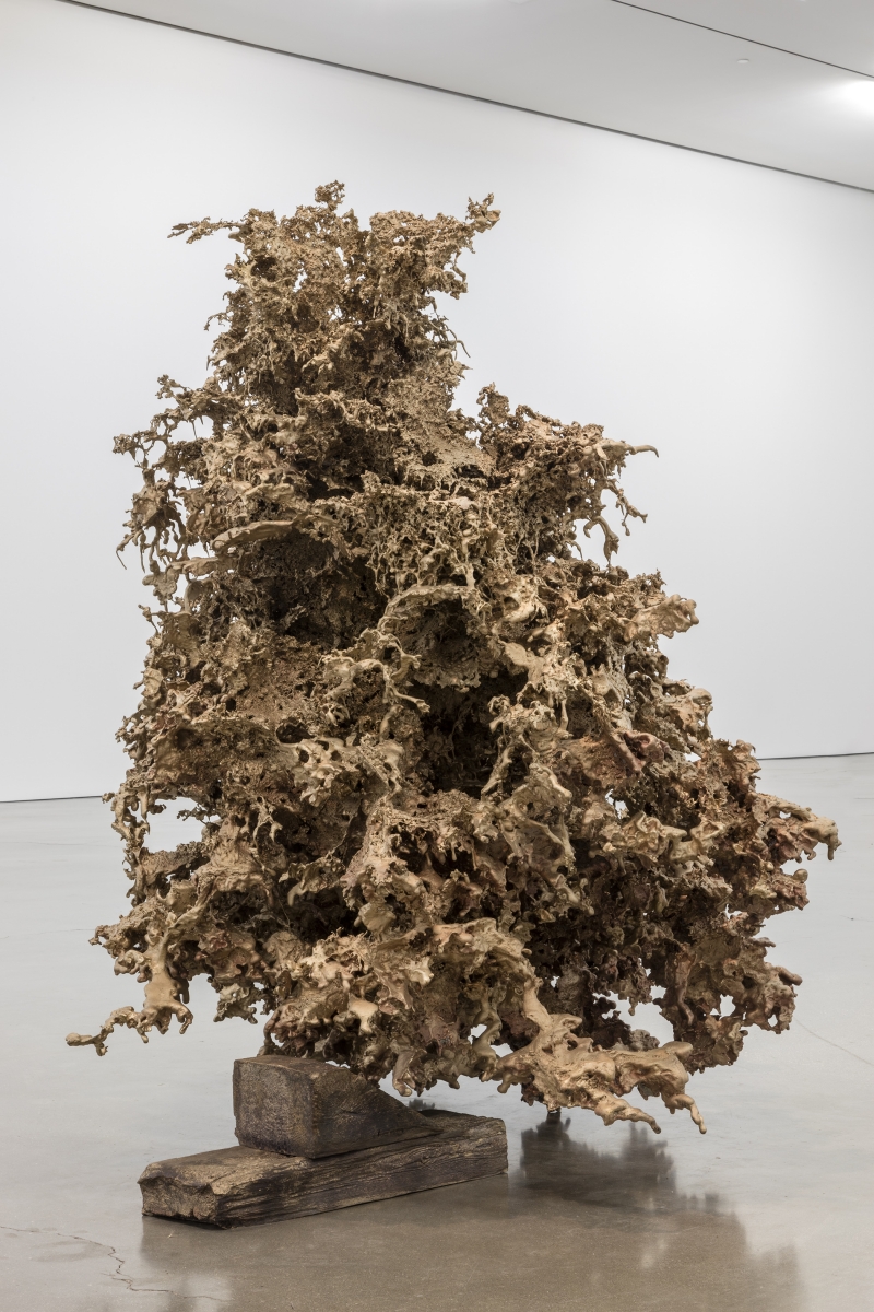 Matthew Barney - Water Castings
