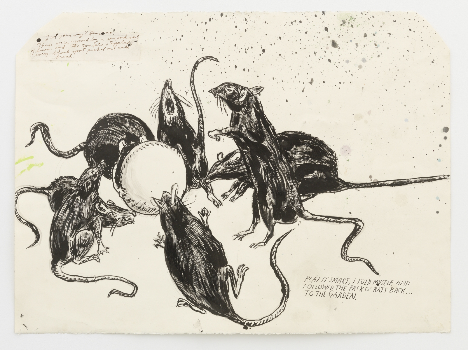 Raymond Pettibon