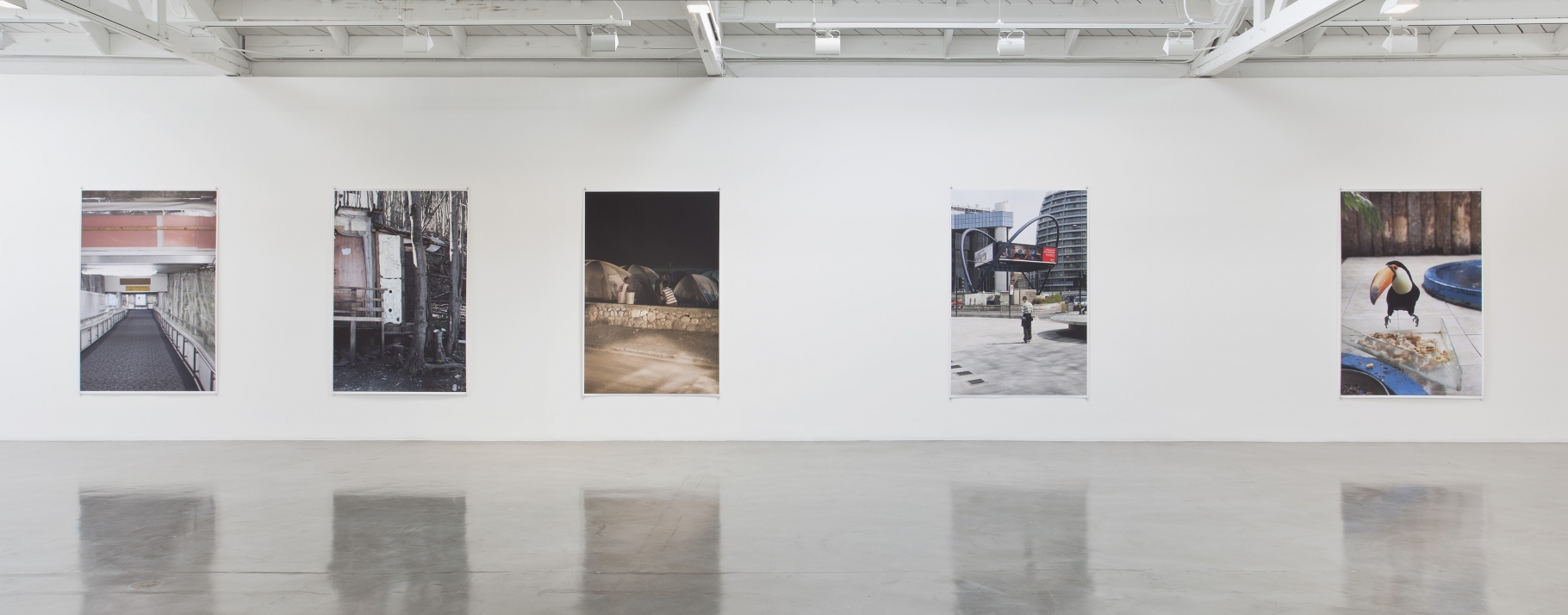 Wolfgang Tillmans