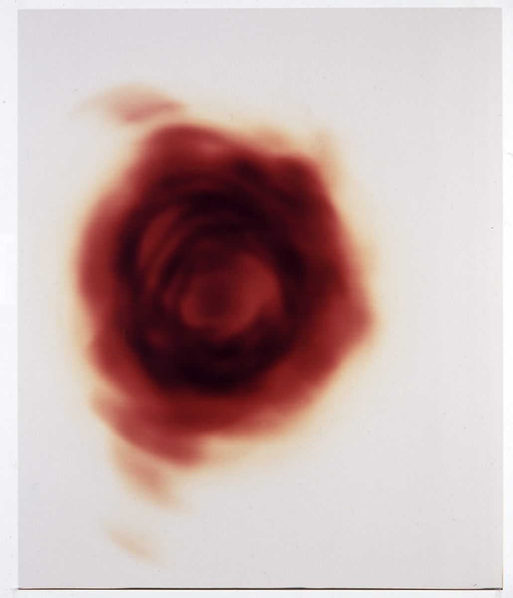 Wolfgang Tillmans